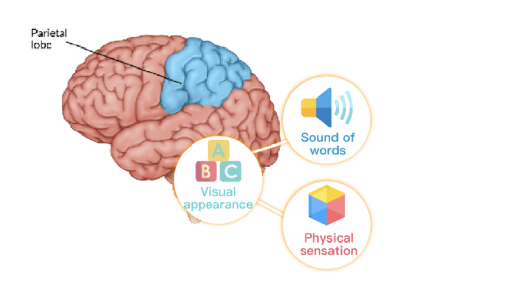 Speech Therapy