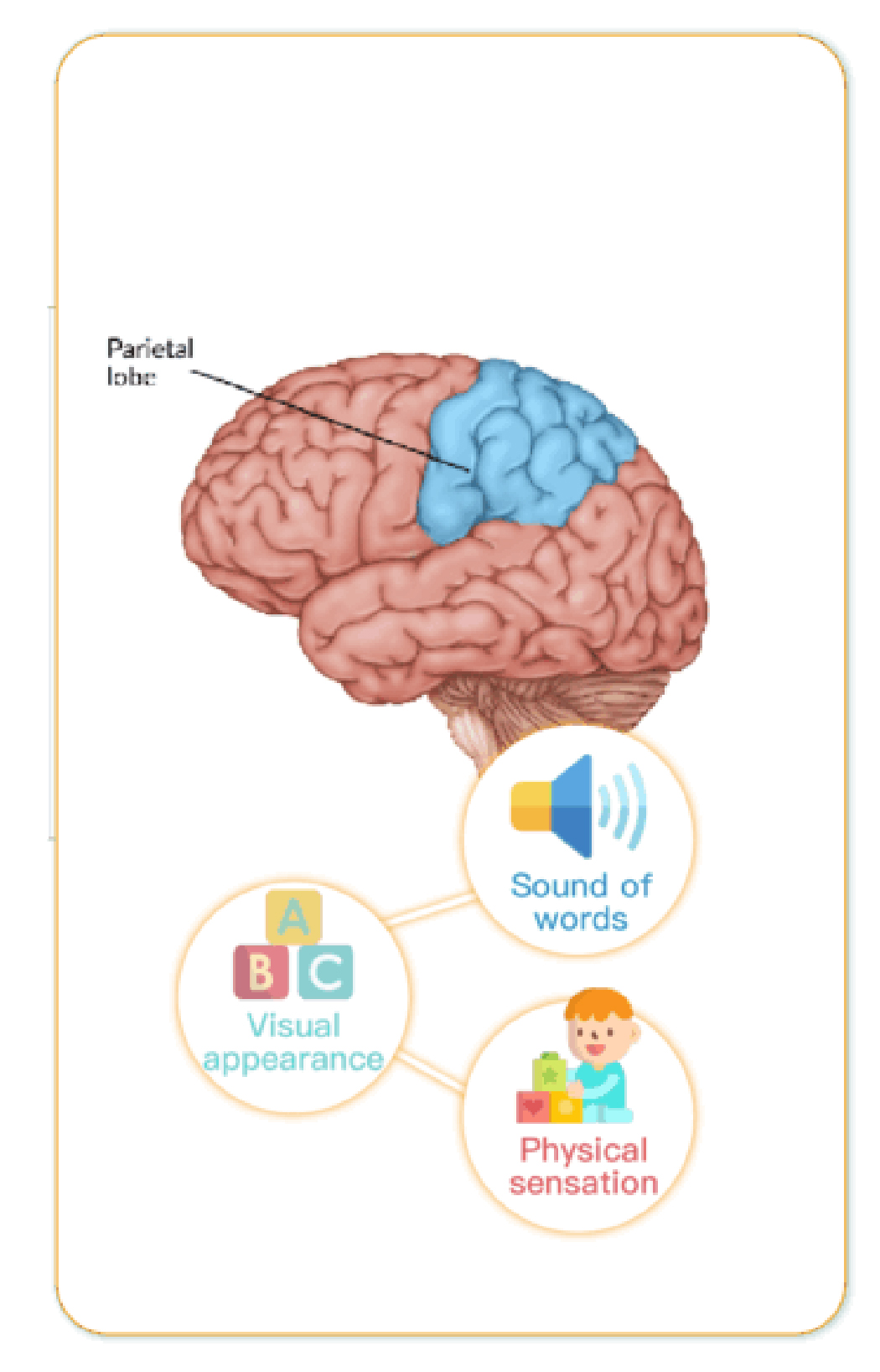 Speech Therapy