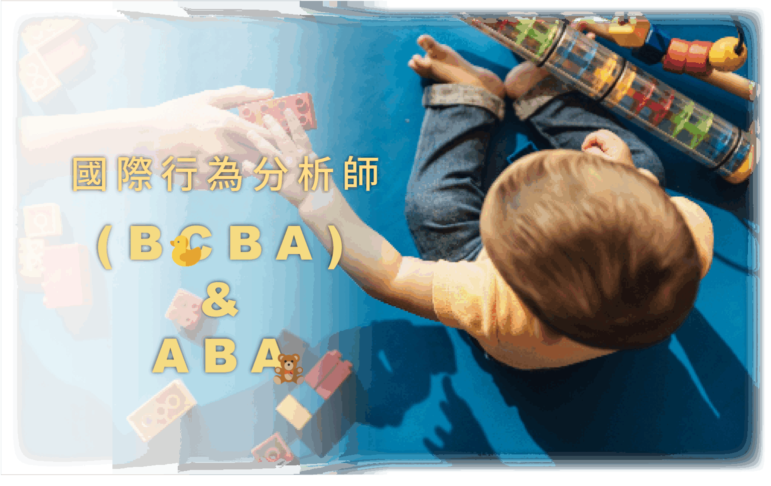 國際行為分析師